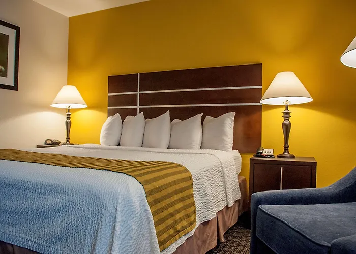 Best Western Village Inn