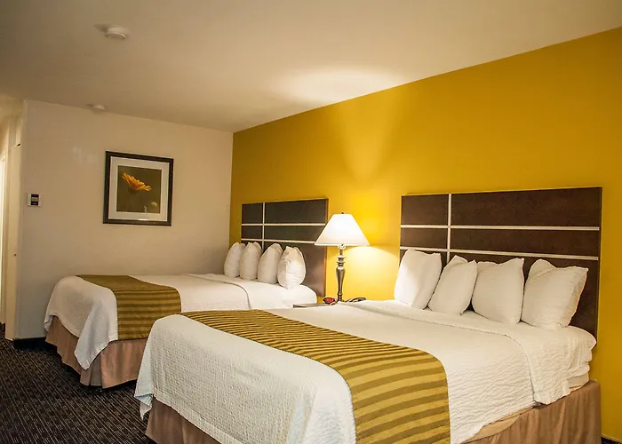Best Western Village Inn